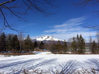 雪原